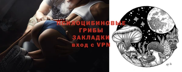apvp Алексин