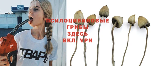 молекула духа Абинск