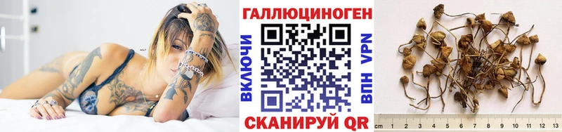 Галлюциногенные грибы мухоморы цена Ачхой-Мартан